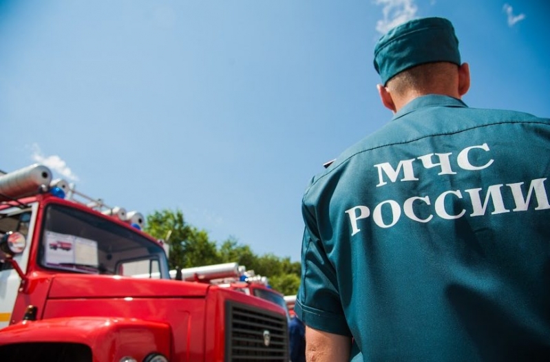 В Волгоградской области потушили крупный лесной пожар
