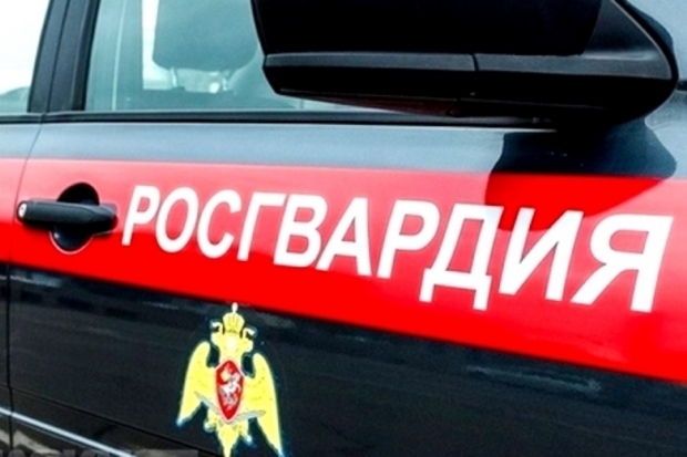Под Волгоградом росгвардейцы задержали двух воров