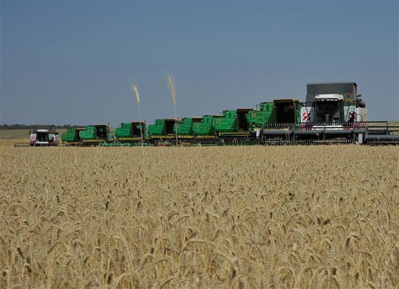Экспорт продукции АПК Волгоградской области превысит 212 млн долларов
