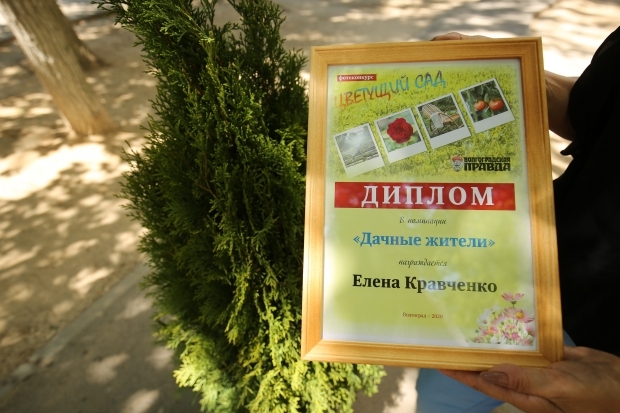 В Волгограде наградили победителей фотоконкурса «Цветущий сад»