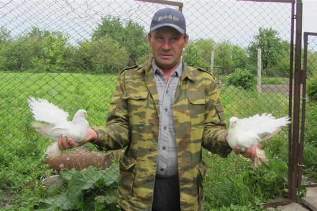 Художник из села Журавка держит 200 голубей, называя их «птицами счастья»