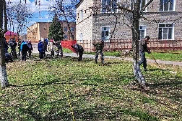 Сквер в станице Нехаевской озеленили в рамках акции «Всероссийский день посадки леса»