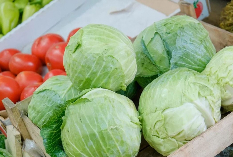 Чем полезны для человеческого организма ферментированные продукты