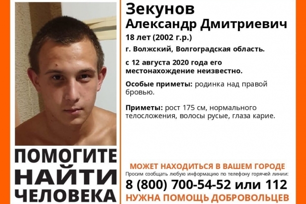 В регионе почти месяц ищут 18-летнего волжанина с родинкой над бровью
