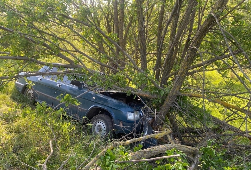 В Волгоградской области «Волга» вылетела в кювет и врезалась в дерево