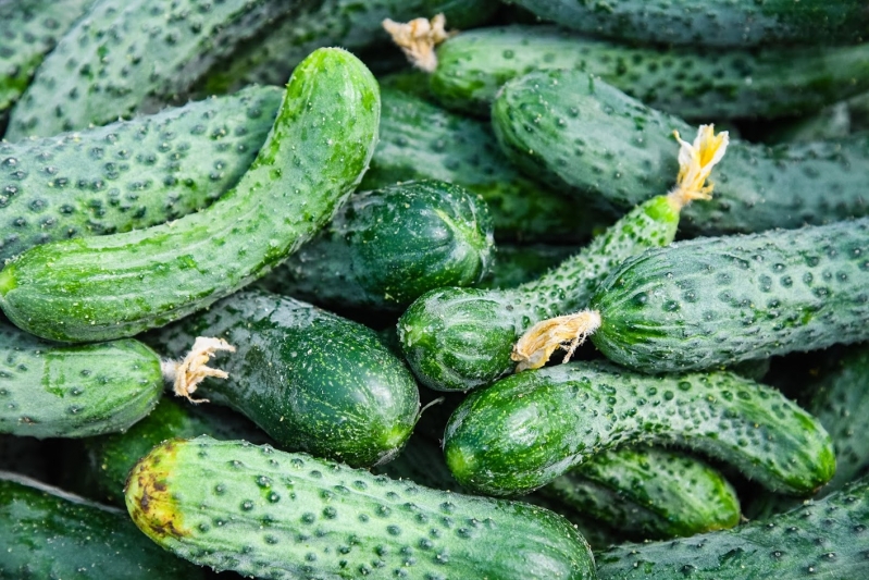 Продукцию волгоградских предприятий АПК признали лучшей