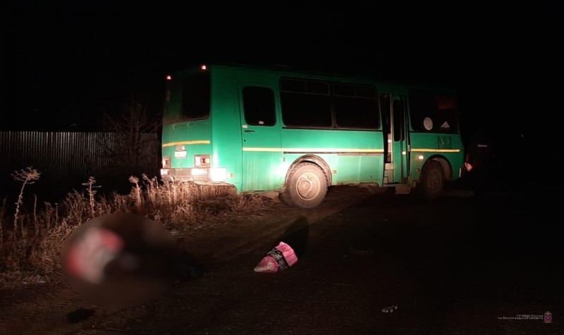 В Городищенском районе автобус сбил насмерть 71-летнюю пенсионерку
