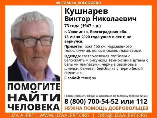 В Волгоградской области ищут пенсионера, заблудившегося в лесу