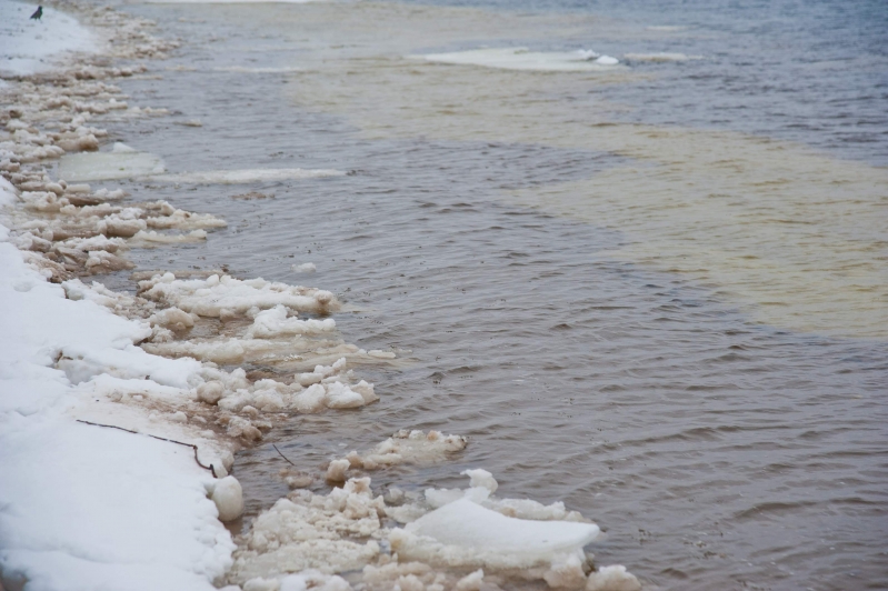 В Серафимовичском районе машина провалилась в водоем: водитель погиб