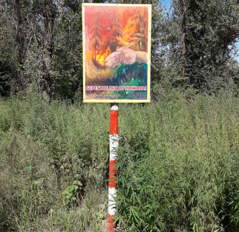 В природном парке «Волго-Ахтубинская пойма» установят новые информационные щиты