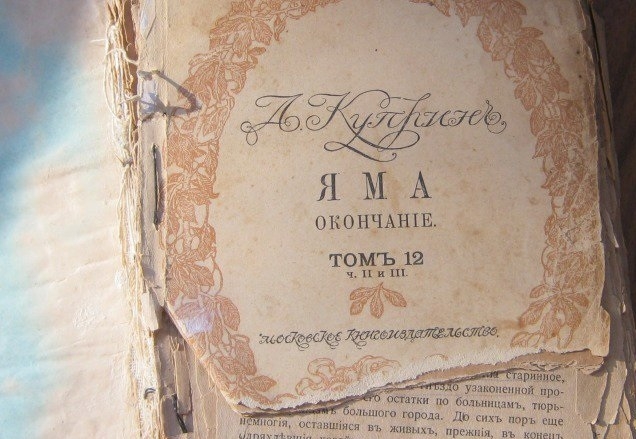 Урюпинец продает дореволюционную книгу за 11 млн рублей