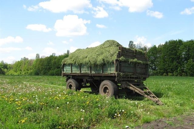 День без дождей: волгоградские фермеры спешно приступили к сенокосу
