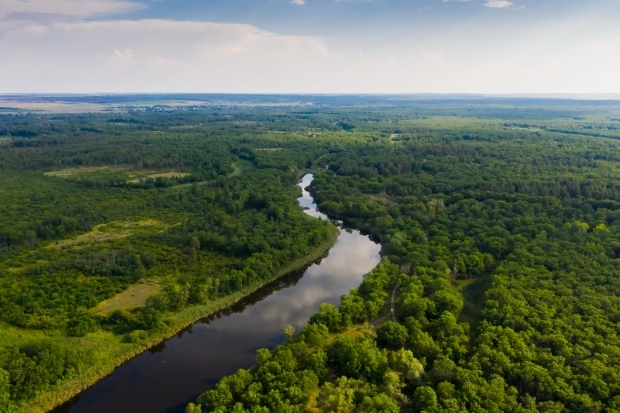 Волгоградская область участвует во всероссийской акции «Вода России»