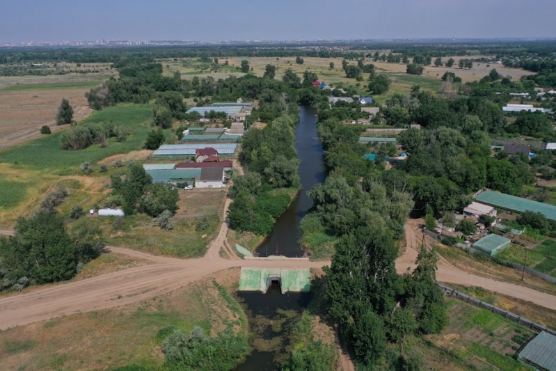 Популяция краснокнижных растений увеличилась в Волго-Ахтубинской пойме