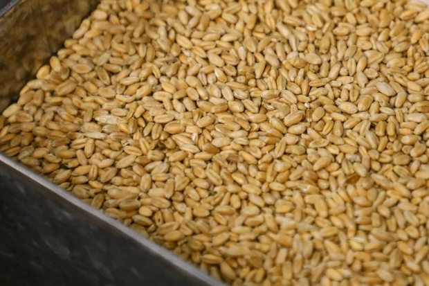 Из Волгоградской области отгружено более миллиона тонн зерна и продуктов