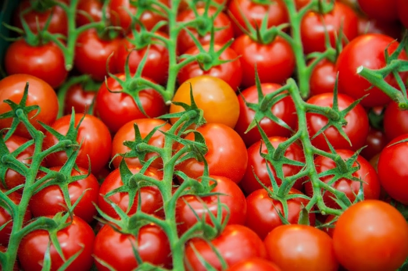 Волгоградская область произвела сельхозпродукцию почти на 4 млрд рублей