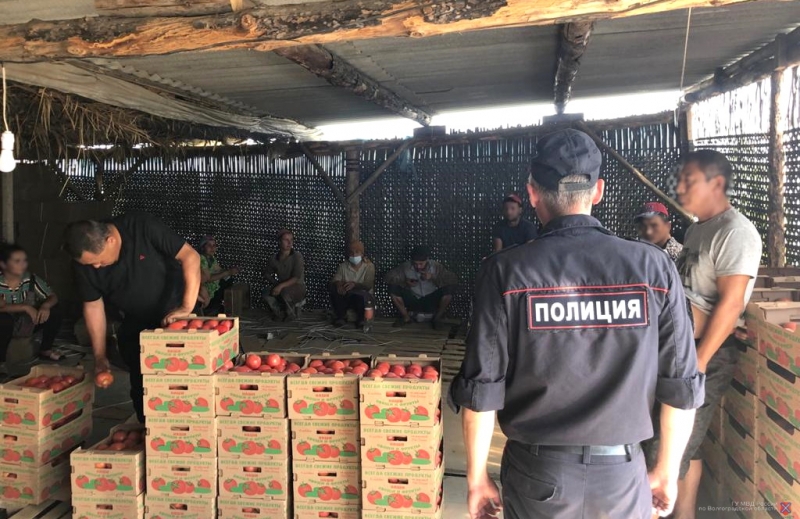 В Иловлинском районе прошел рейд по выявлению нелегальных мигрантов