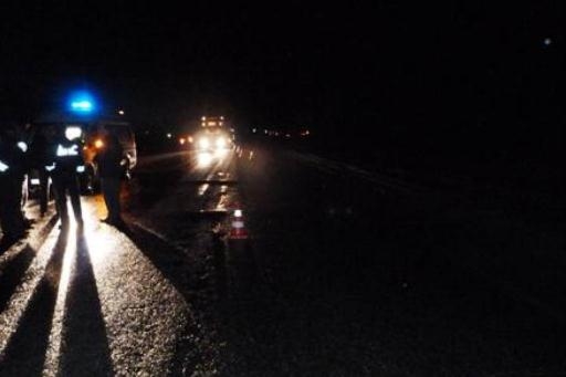 В Палласовском районе ищут водителя, сбившего пьяную женщину