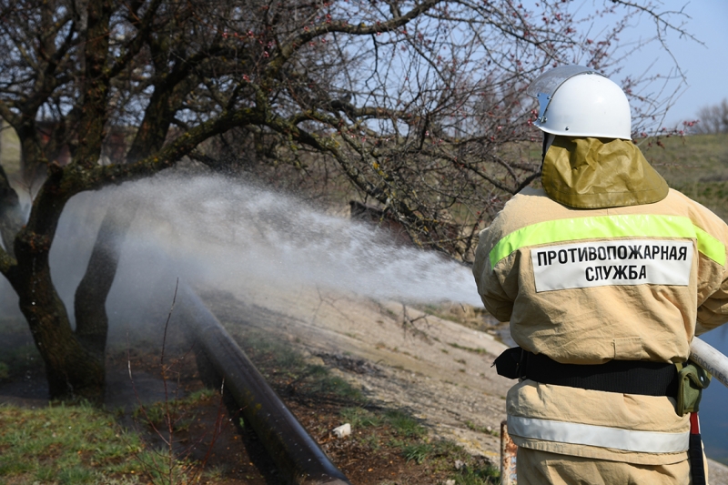 В Волгоградской области лесники ночью тушили частный дом