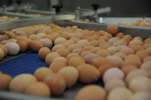 Названы необходимые продукты для здоровья пожилых людей