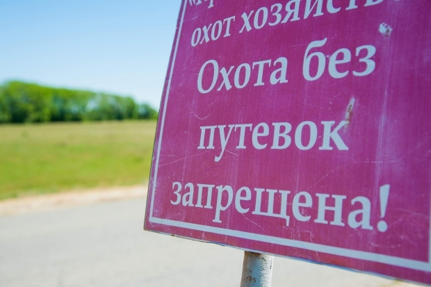 В Волгоградской области с 15 августа открыт сезон охоты на барсука