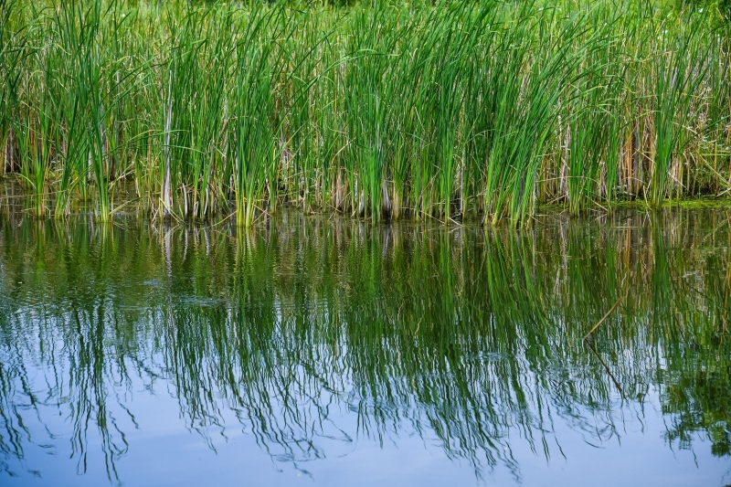 В ерики Волго-Ахтубинской поймы подкачают 2,5 млн кубометров воды