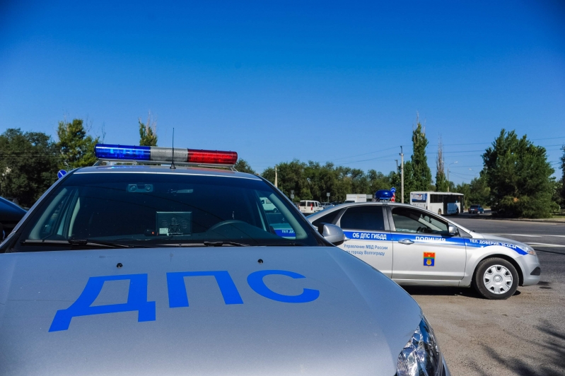 Мужчине грозит срок за незаконную охоту на косуль в Новоаннинском районе