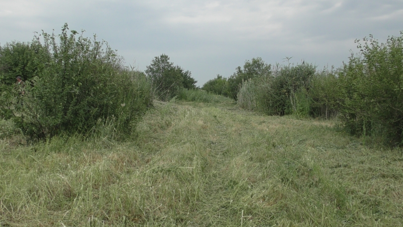 В Городищенском районе обнаружили 39 га заброшенных сельхозугодий