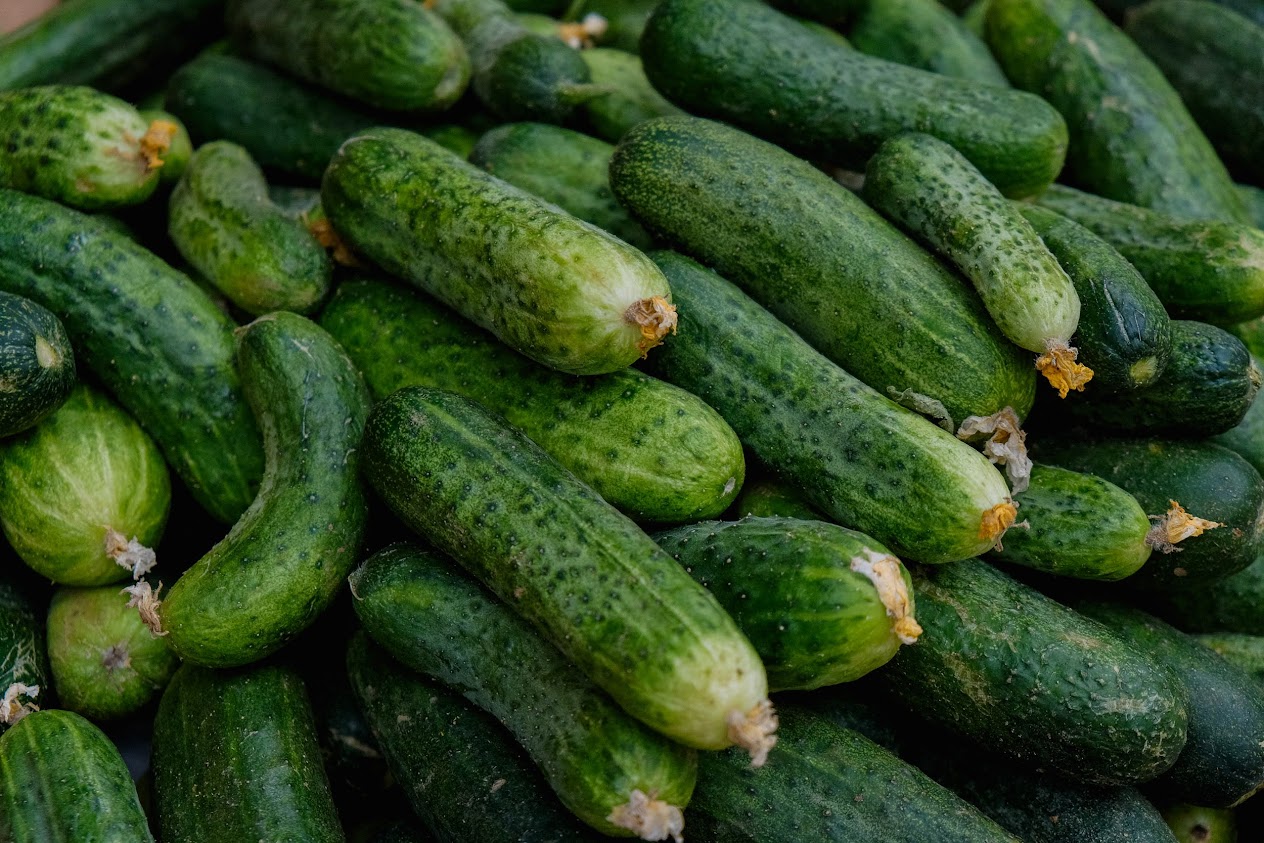 Огурцы вытеснили яйца из рейтинга самых дорогих продуктов в Волгоградской области