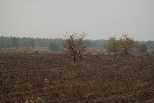 В Волгоградской области выявили захламление сельскохозяйственных земель