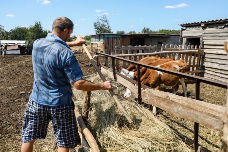 В Волгоградской области подвели итоги конкурса «Агростартап»